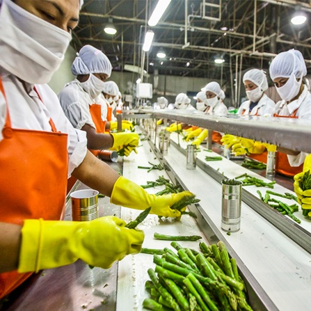 Food Processing